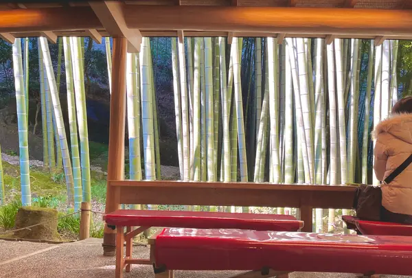 報国寺（竹寺）の写真・動画_image_580112