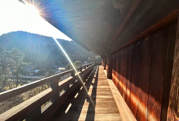 南禅寺の写真・動画_image_580168