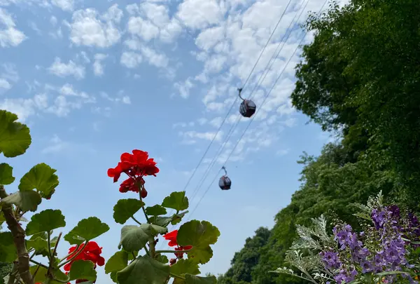 神戸布引ハーブ園の写真・動画_image_581081