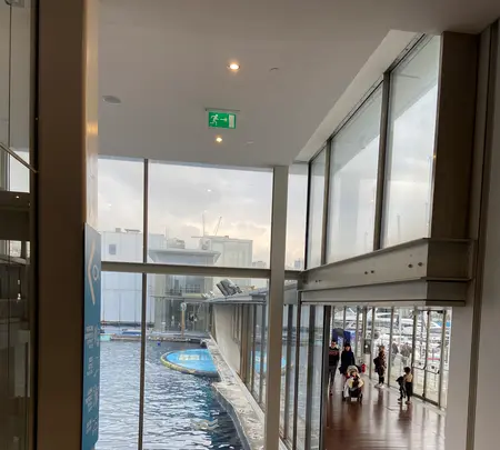 ジェノヴァ水族館の写真・動画_image_581237