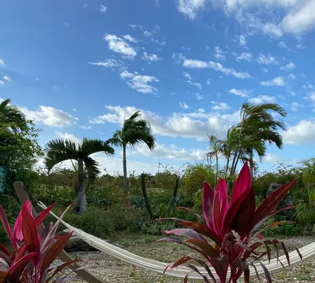 宮古島ゲストハウスコアの写真・動画_image_581632