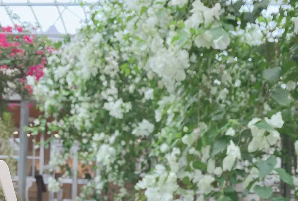 ユートピアファーム宮古島の写真・動画_image_581640