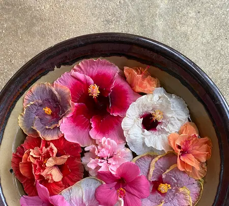 ユートピアファーム宮古島の写真・動画_image_581642