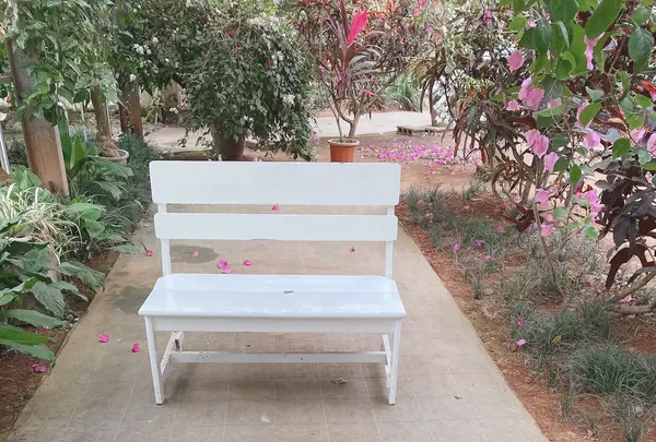 ユートピアファーム宮古島の写真・動画_image_581646