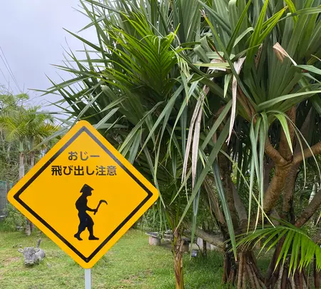 由布島の写真・動画_image_581772