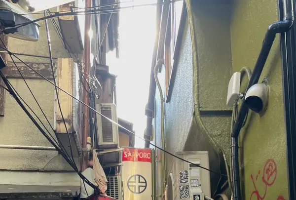 レイン オン ザ ルーフ （rain on the roof）の写真・動画_image_581900