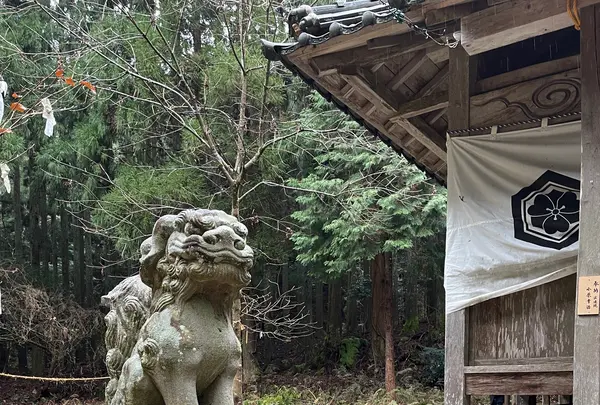 因幡国二之宮 大江神社の写真・動画_image_581914