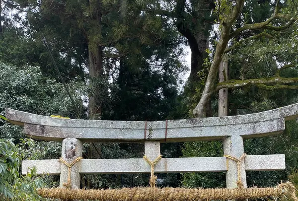 因幡国二之宮 大江神社の写真・動画_image_581917