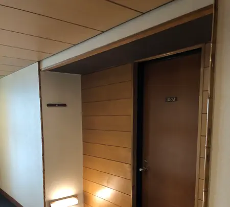 ホテル大野屋の写真・動画_image_582365