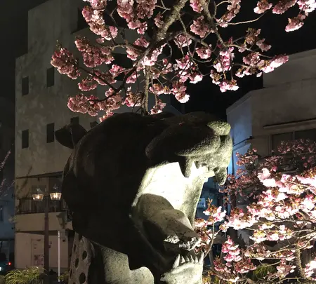 あたみ桜 糸川桜まつりの写真・動画_image_582386