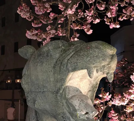 あたみ桜 糸川桜まつりの写真・動画_image_582387