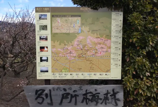 曽我梅林の写真・動画_image_582578