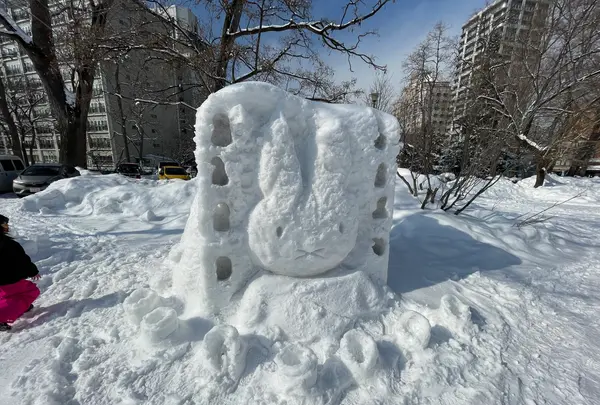 札幌市中島児童会館の写真・動画_image_582787