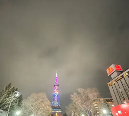 さっぽろ雪まつりの写真・動画_image_582791