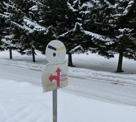 札幌市中島体育センターの写真・動画_image_582796