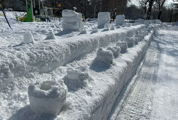 札幌市中島児童会館の写真・動画_image_582853