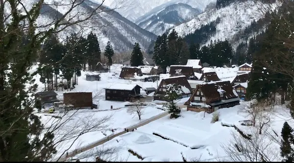 相倉合掌造り集落の写真・動画_image_583069