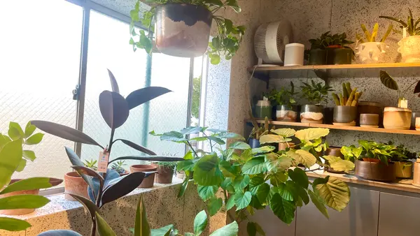 TOKYOBIKE TOKYOの写真・動画_image_583604