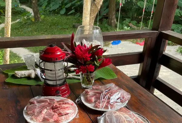 島の休日 ヨイサーマーの写真・動画_image_584107