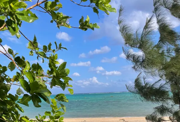 島の休日 ヨイサーマーの写真・動画_image_584109