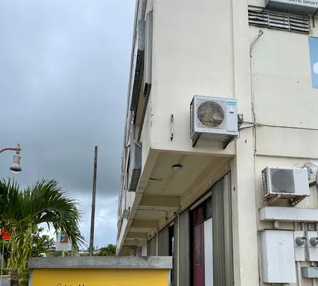 イエローツリー カフェの写真・動画_image_584354