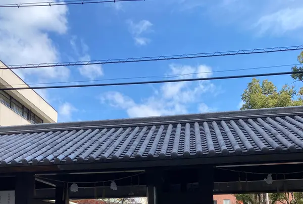 生田神社の写真・動画_image_584486