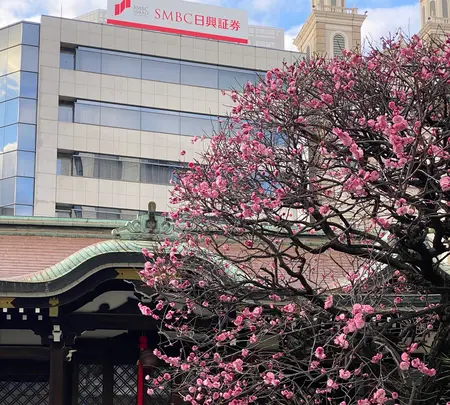 三宮神社の写真・動画_image_585494