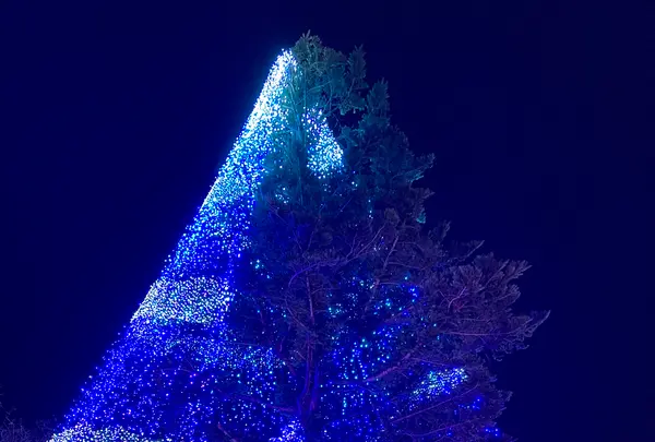 時之栖の写真・動画_image_586004