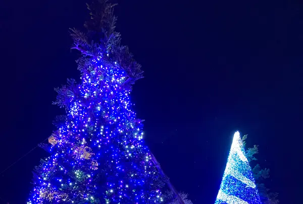 時之栖の写真・動画_image_586005