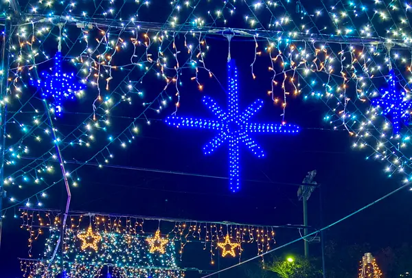 時之栖の写真・動画_image_586006