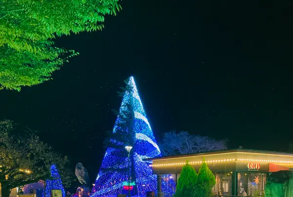 時之栖の写真・動画_image_586008