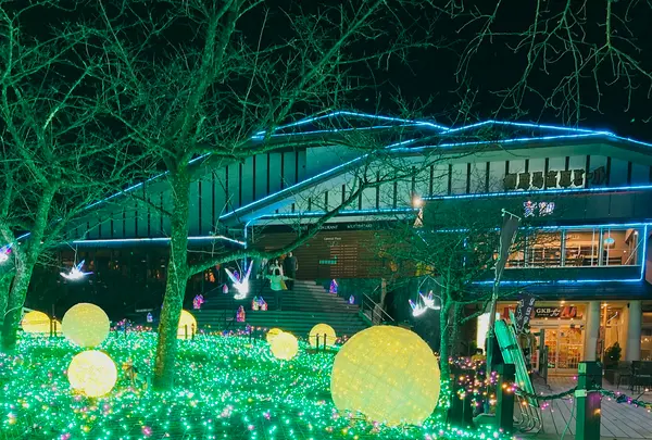 時之栖の写真・動画_image_586010