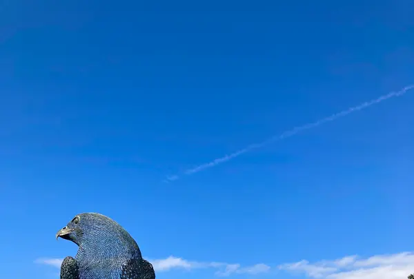 御殿場高原時之栖の写真・動画_image_586021