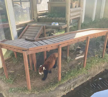 楽寿園の写真・動画_image_586045