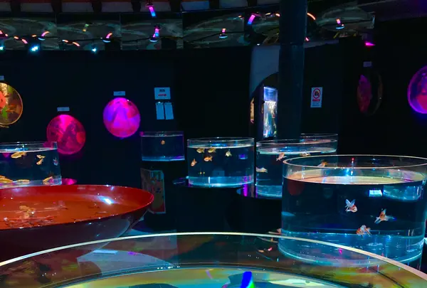 時之栖の写真・動画_image_586055