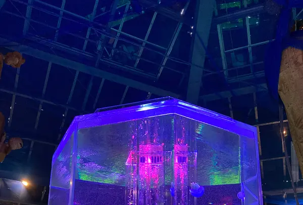 時之栖の写真・動画_image_586056