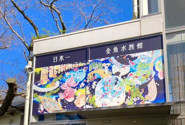 時之栖の写真・動画_image_586057