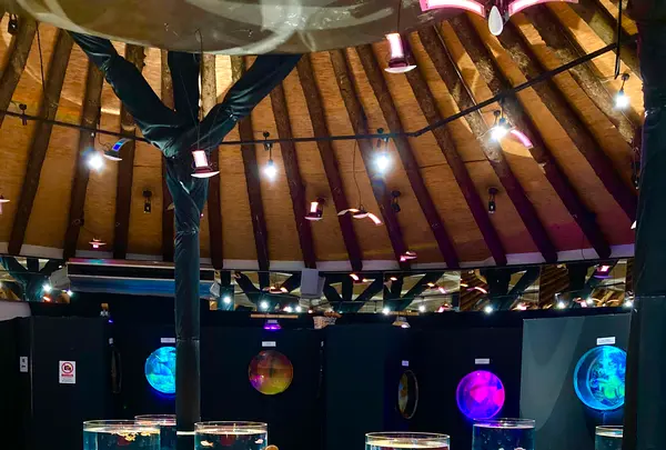 時之栖の写真・動画_image_586059