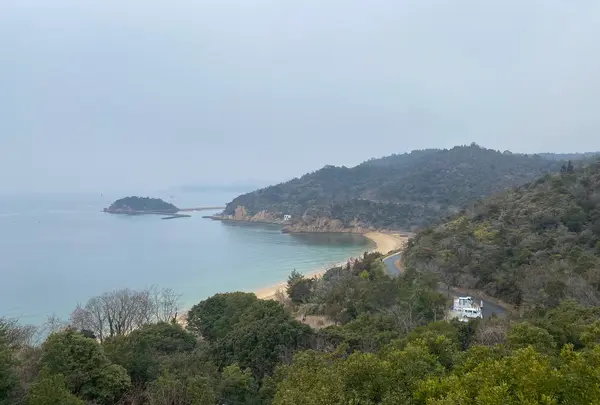 ベネッセハウスミュージアムの写真・動画_image_586114