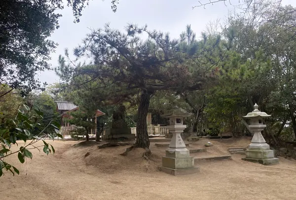 家プロジェクト「護王神社」の写真・動画_image_586253