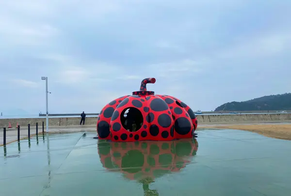 宮浦港の写真・動画_image_586283