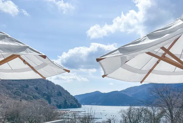 箱根・芦ノ湖 はなをりの写真・動画_image_587351