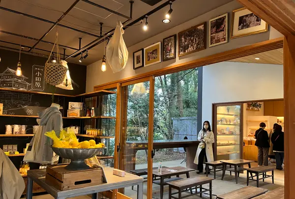 きんじろうカフェの写真・動画_image_587358