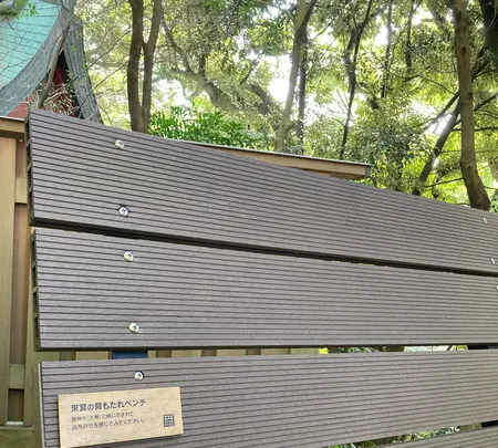 來宮神社の写真・動画_image_587502