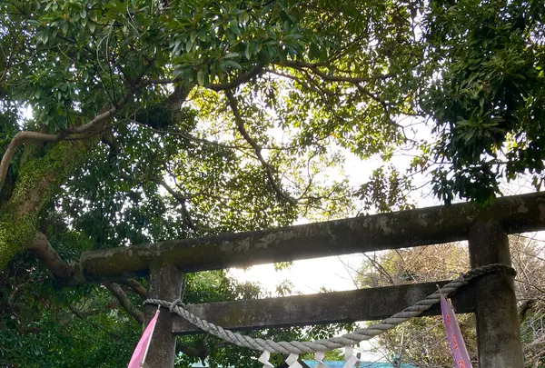 音無神社の写真・動画_image_587537