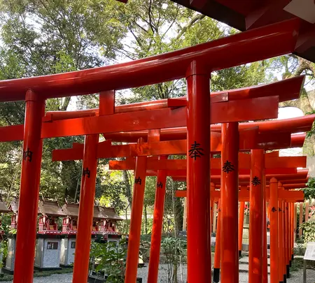 來宮神社の写真・動画_image_587569