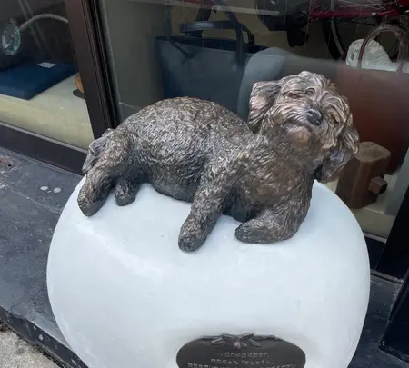 人形町ウォレテリア山藤（やまとう）の写真・動画_image_587648