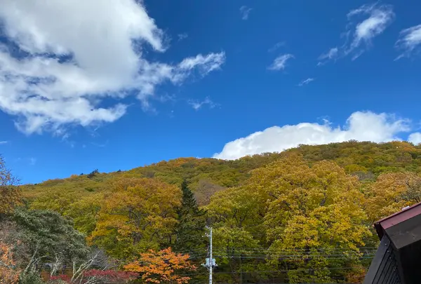 中禅寺湖畔ボートハウスの写真・動画_image_587842