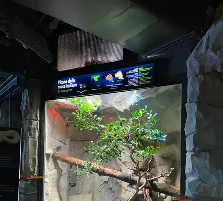 ジェノヴァ水族館の写真・動画_image_588069