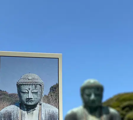 鎌倉大仏（高徳院）の写真・動画_image_588563